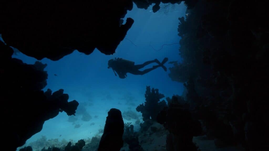 Amaala подводный мир